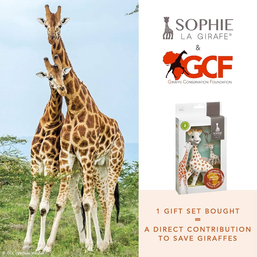 キリンソフィー キリンのソフィー 日本公式サイト | Sophie la girafe Japan